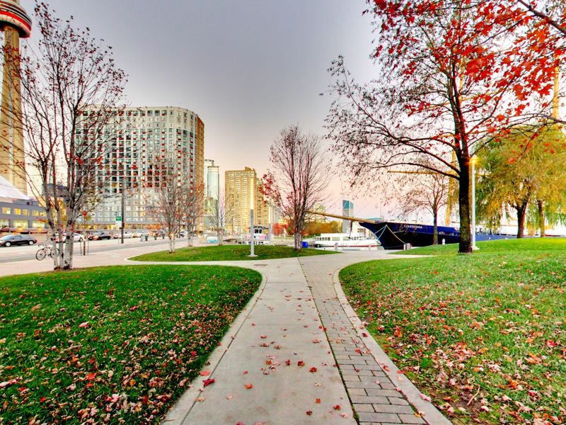 green space in the fall bordering 401 queens quay w