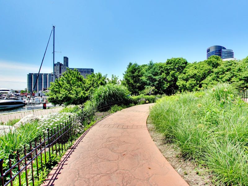 parklike public surroundings of 401 queens quay w