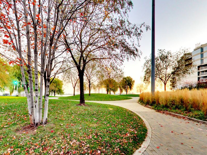 views of walking areas near 401 queens quay w